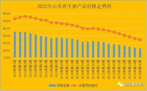 豬虧了，雞保本、牛羊行情這樣了！養(yǎng)殖成本原來是這樣的