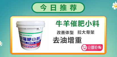 如何減少犢牛死傷率？